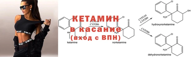 бошки Богданович