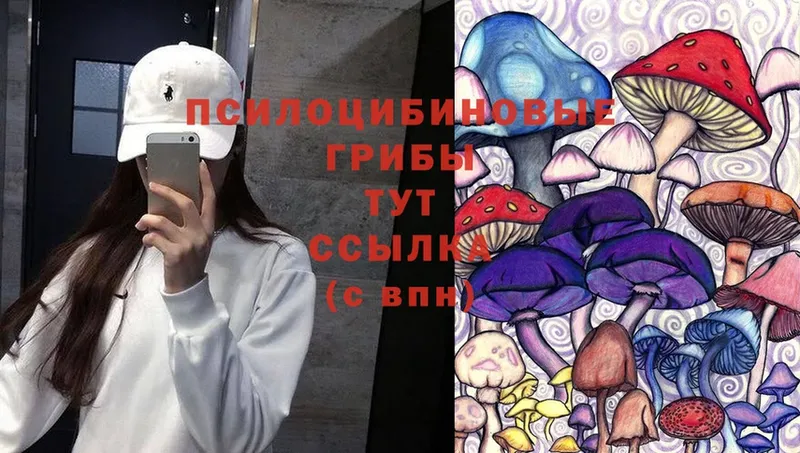 Псилоцибиновые грибы Magic Shrooms  мега   Дятьково 